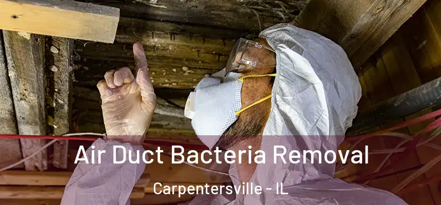 Air Duct Bacteria Removal Carpentersville - IL