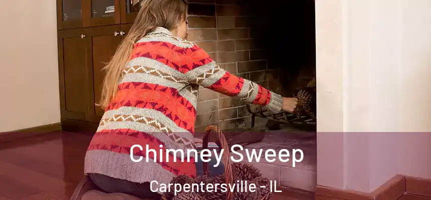 Chimney Sweep Carpentersville - IL