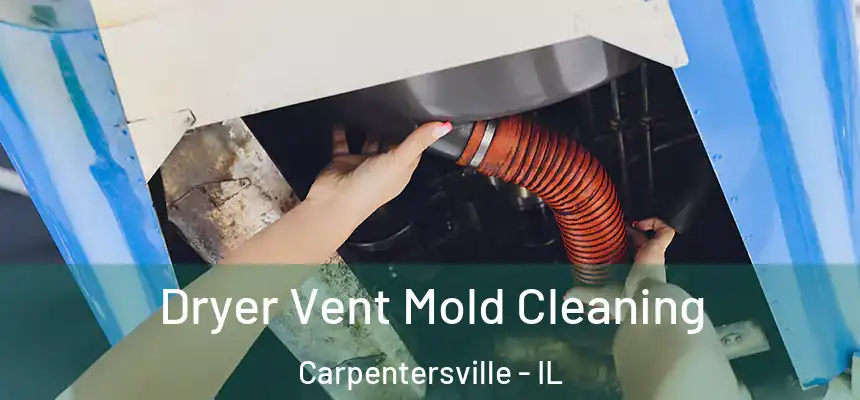  Dryer Vent Mold Cleaning Carpentersville - IL
