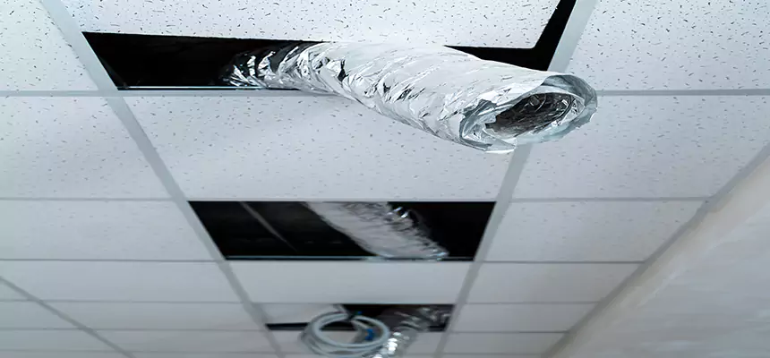 Our Air Duct Pet Hair Removal Services in Carpentersville, IL