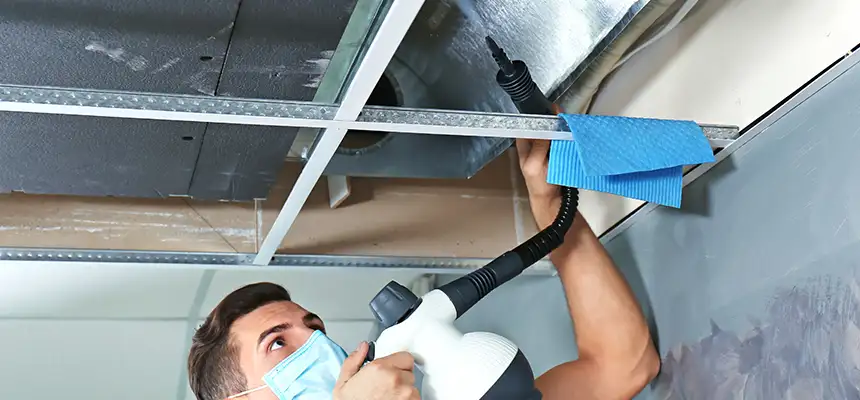 Our Air Duct Rodent Removal Services in Carpentersville, IL
