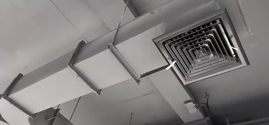 Restorative Allergy Relief Vent Cleaning – Coil, Blower & Housing Detail in Carpentersville