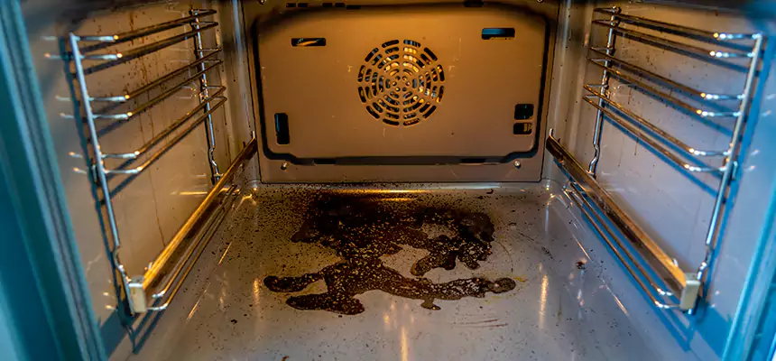 Our Dryer Vent Mold Cleaning Services in Carpentersville, IL