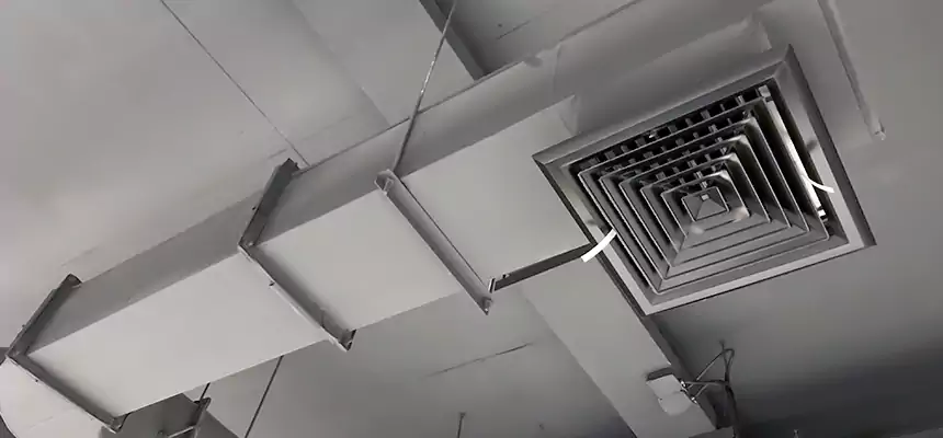 Our Pest Removal From Ducts Services in Carpentersville, IL