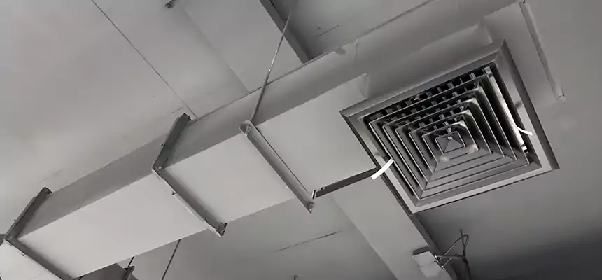 Our Rodent Droppings In Vents Services in Carpentersville, IL