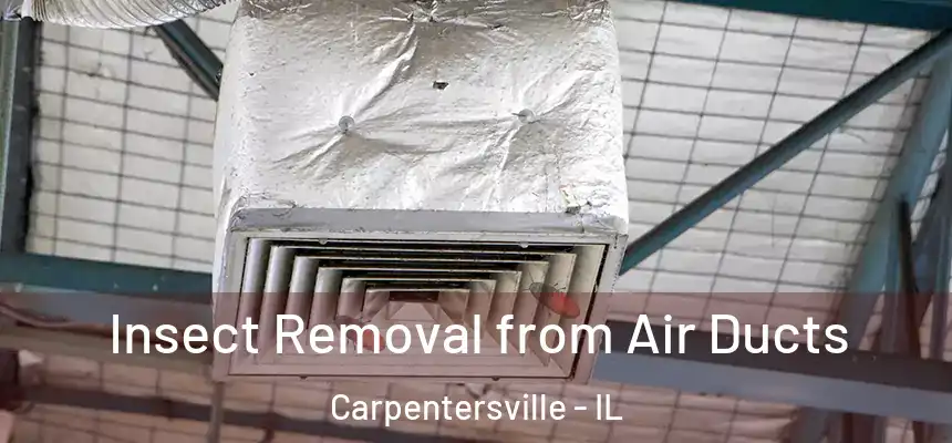 Insect Removal from Air Ducts Carpentersville - IL