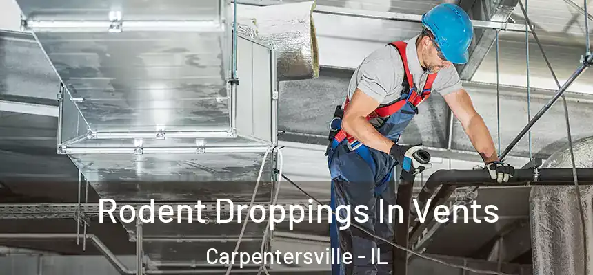  Rodent Droppings In Vents Carpentersville - IL
