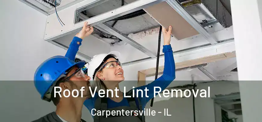 Roof Vent Lint Removal Carpentersville - IL