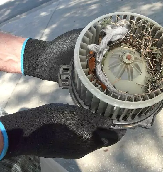 About Air Duct Mice Removal in Carpentersville, IL