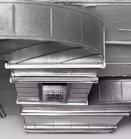 Professional Air Duct Pet Hair Removal in Carpentersville, IL