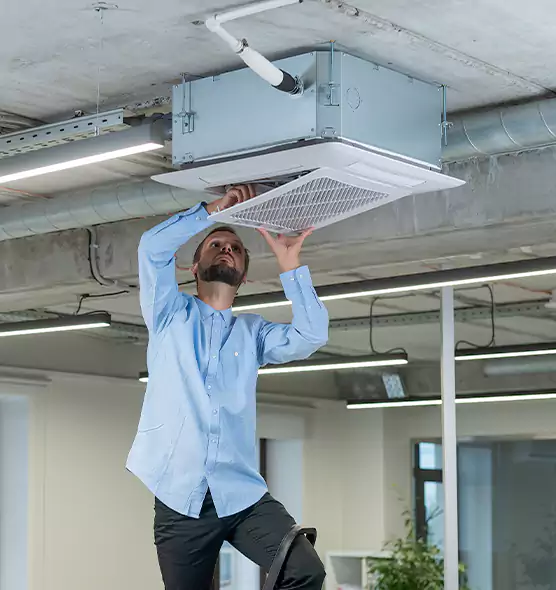 Advanced Rodent Droppings In Vents in Carpentersville, IL