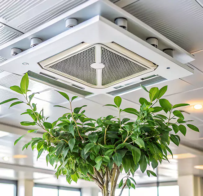 Why Homeowners & Businesses Trust Us in Carpentersville, IL