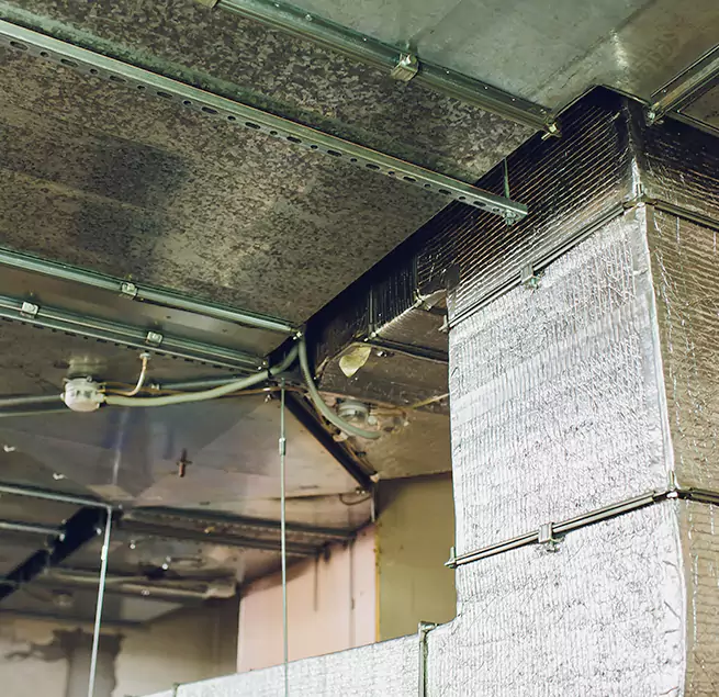 Why Homeowners & Businesses Trust Us in Carpentersville, IL?